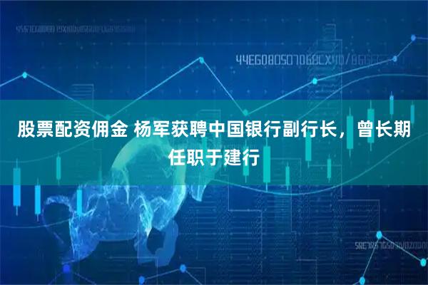 股票配资佣金 杨军获聘中国银行副行长，曾长期任职于建行