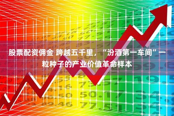 股票配资佣金 跨越五千里，“汾酒第一车间”一粒种子的产业价值革命样本