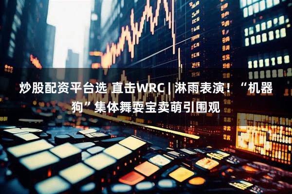 炒股配资平台选 直击WRC | 淋雨表演！“机器狗”集体舞耍宝卖萌引围观